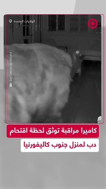 كاميرا مراقبة ترصد دبا يقتحم منزلا ليلا في ولاية أمريكية