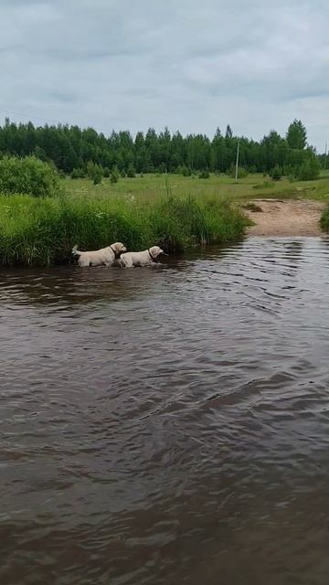 Водные процедуры🤣🤣🤣