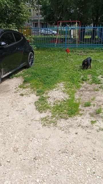 Злая Toyota