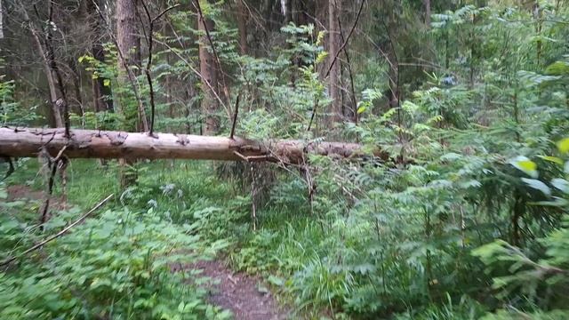Просыпаемся вместе с природой.