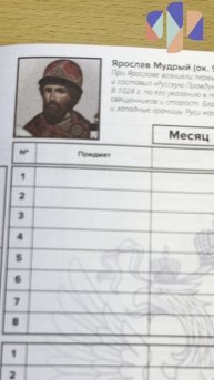 Дневник российского школьника арт. 69753; 66838;60752;69755