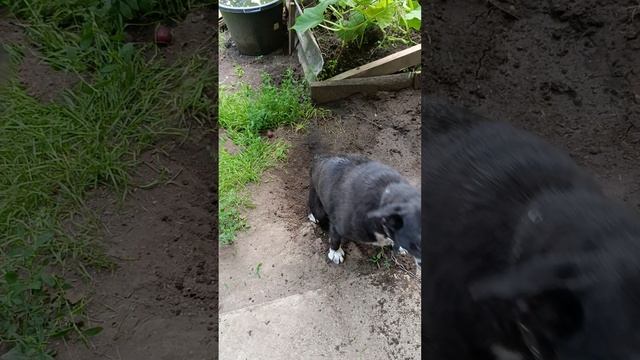 1000003685.mp4
