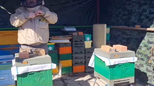 1000022487.mp4