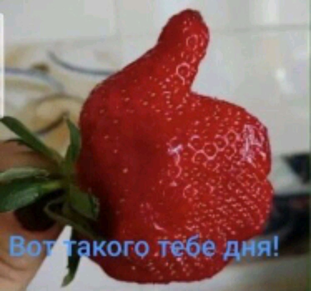 Привет