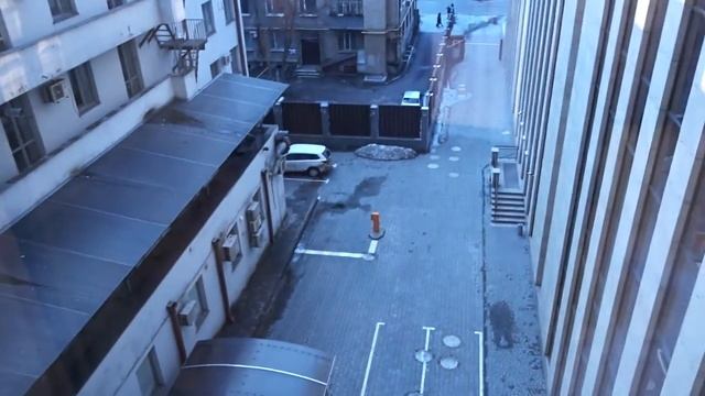 Огород Домера ЧТО БЫЛО НА САМОМ ДЕЛЕ НА ВИДЕОЖАРЕ   ВИДЕОЖАРА 2018