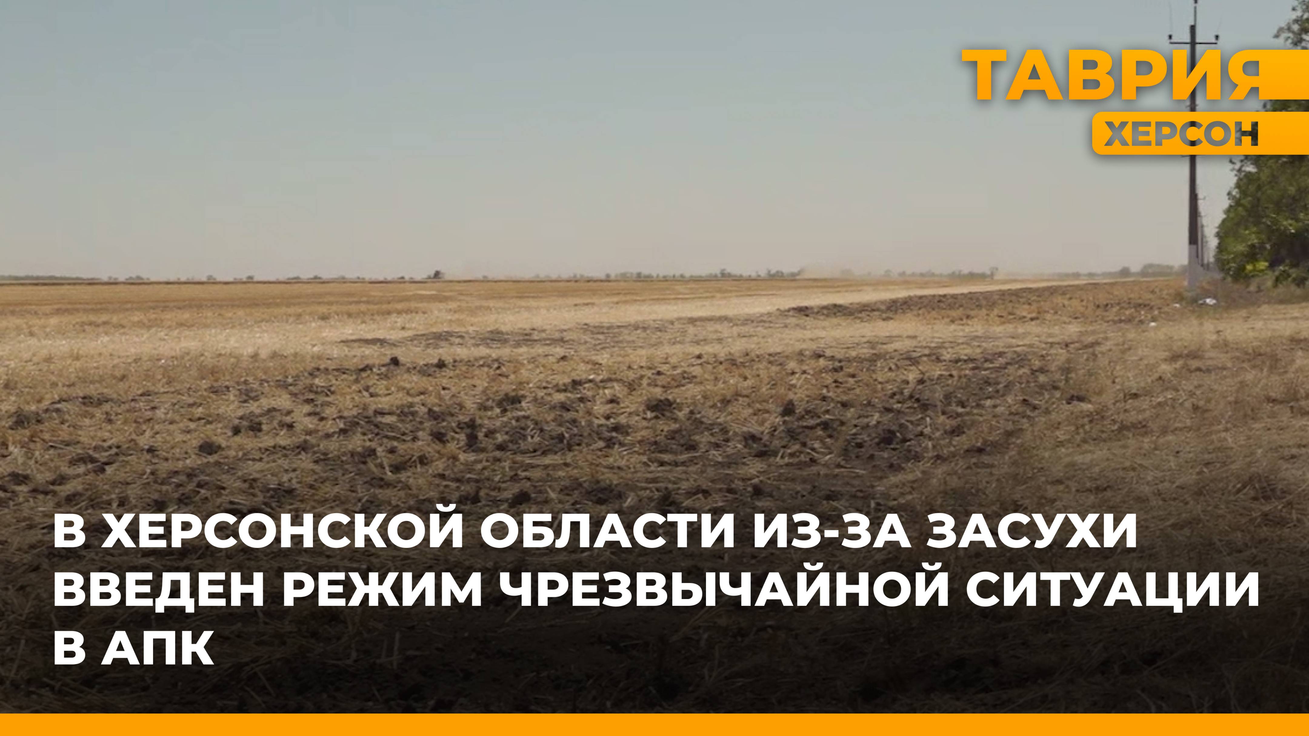 В Херсонской области из-за засухи введен режим чрезвычайной ситуации в АПК