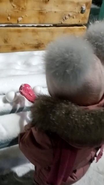 Полюшка