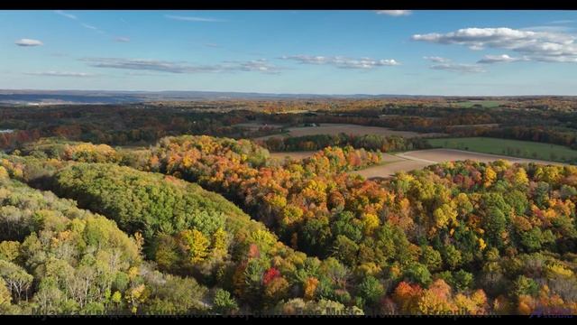 Леса звучат как личный саундтрек к мечтам - Rainbow -- Chad Crouch -- Motion