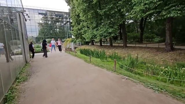 Аптекарский огород. Москва. Кто придумывает такие названия растениям_ Сразу и не запомнишь!