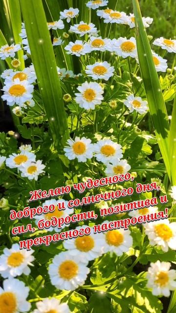 хорошего дня