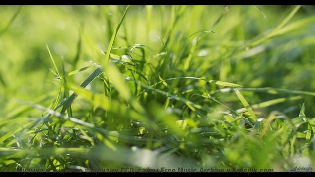 Море, которое НЕ ОТДАЁТ своих мертвецов. - Ненавижу еду (Устал отдыхать) -- Александр Недугин -- Яжы
