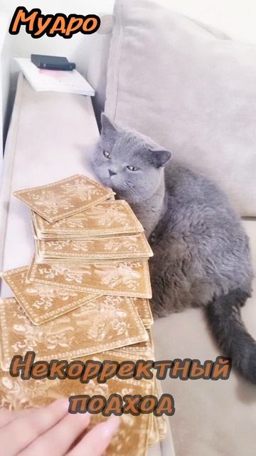 20 июня.
Карта дня Таро. 

ИЕРОФАНТ. 
(Перевернутая. )

♦️♦️♦️♦️
Обережный цвет-
коралловый.
🤎🤎🤎