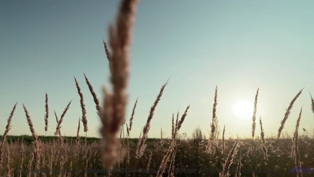 Пейзажи оживают, когда включается эта мелодия - SALSA TRAP -- Caslo -- CASLO Vol. 1