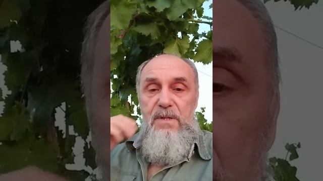 О_событиях_16_6_а_что_если？!!!_