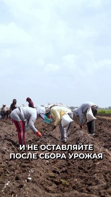 😳 Самые эффективные методы борьбы с сорняками