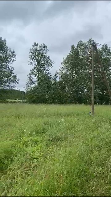 VID-20250619-WA0006.mp4