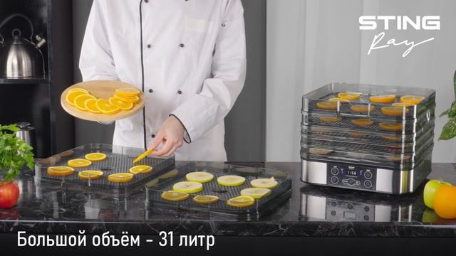 Электросушилка STINGRAY ST-FD701A