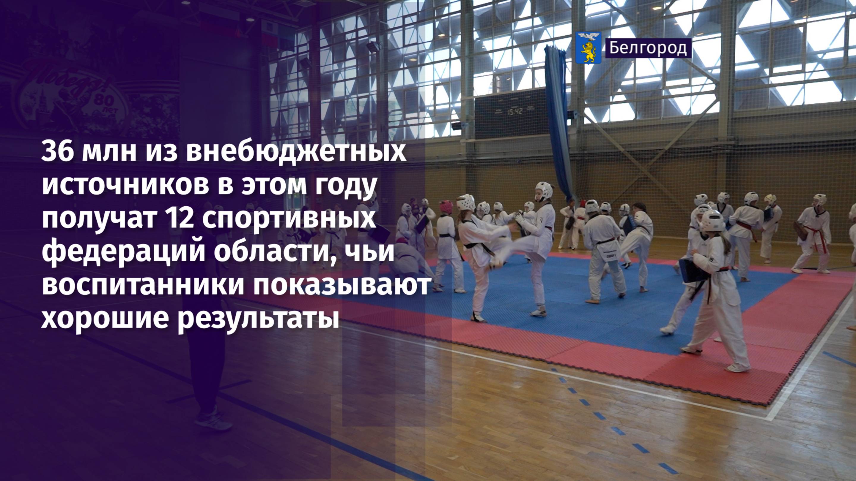 36 млн из внебюджетных источников в этом году получат 12 спортивных федераций области