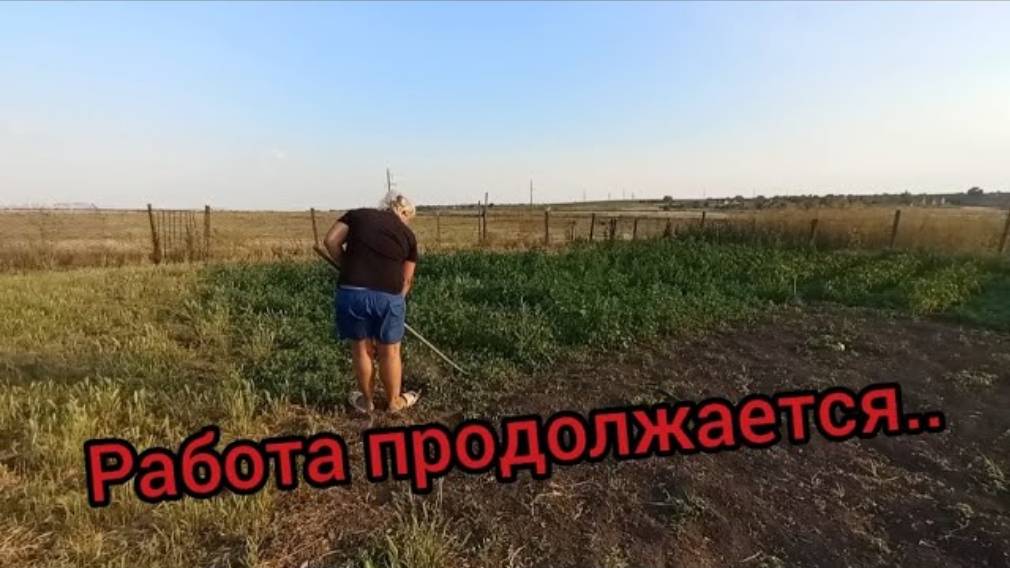 Наталья Губарева. РАБОТА ПРОДОЛЖАЕТСЯ ПРОПОЛОЛА КУКУРУЗУ 🌽