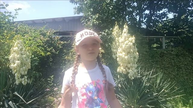 Видевизитка для конкурса Большая перемена
