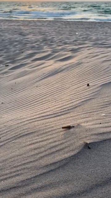 VID-20241102-WA0004