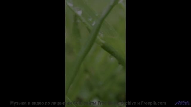 Этот трек под эти леса запомнится навсегда - Farewell 2 -- Kirk Osamayo -- Season Two (YELLOW)