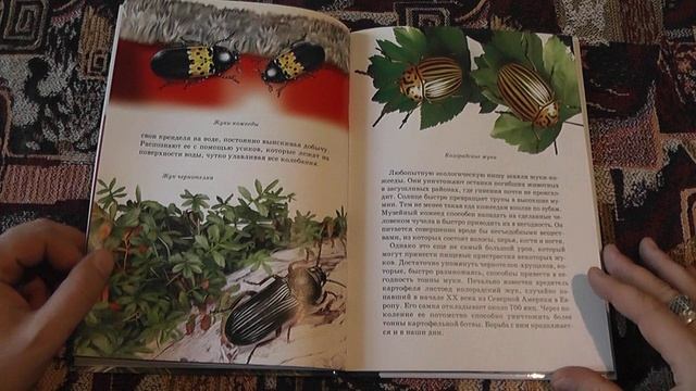 "Жуки и другие удивительные насекомые" (С.Ю.Афонькин, 2020)