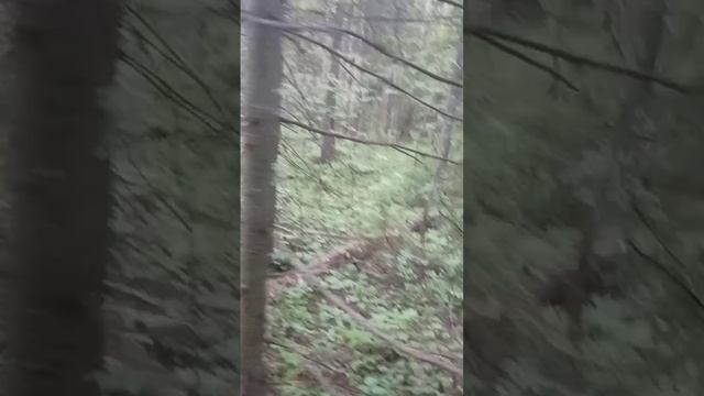 video_2025-06-19_00-47-24