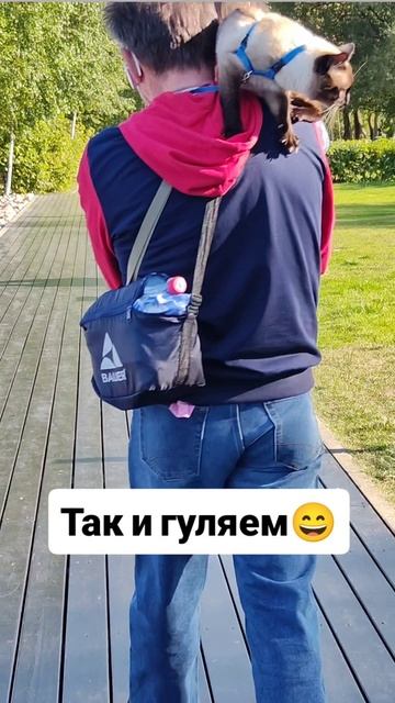Так и гуляем 🤣