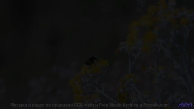 Ощущение полёта длится столько, сколько звучит трек - A Thin Line -- Kirk Osamayo -- Season Two (ORA