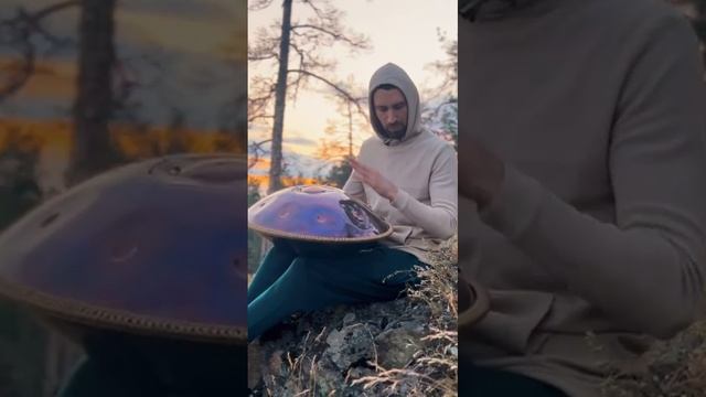 Сорока играет на ханге в Лесу