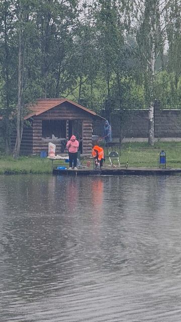 Поимка карпа