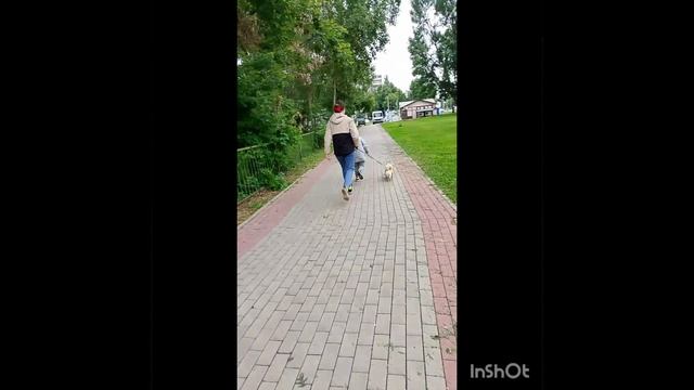 прогулки