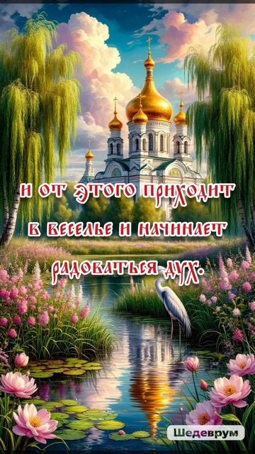Цитата дня #никоноптинский #православие #цитата #цитатадня #цитатаожизни #религия #жизнь #молитва