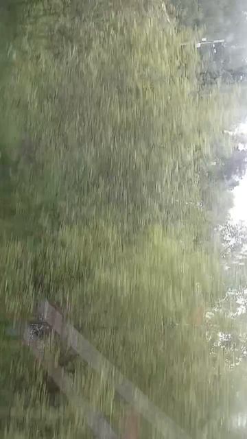 scene_output.mp4