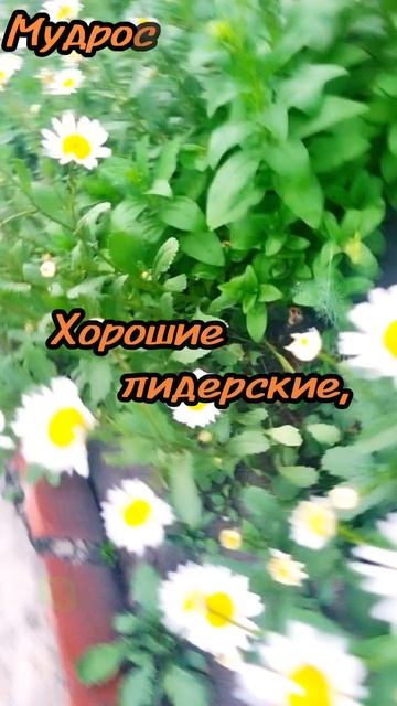 19 июня.
АСТРОЛОГИЯ ДНЯ.

Социальная активность. 
Исполнение рутинных обязанностей. 
(Муторно,но над