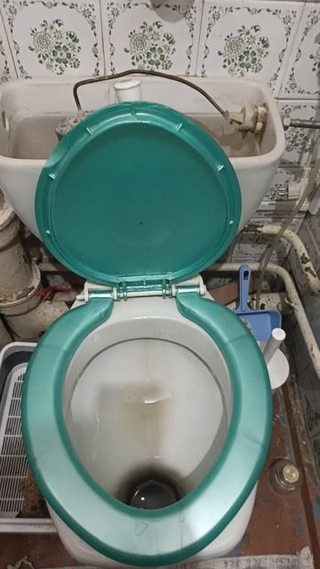 пронгека