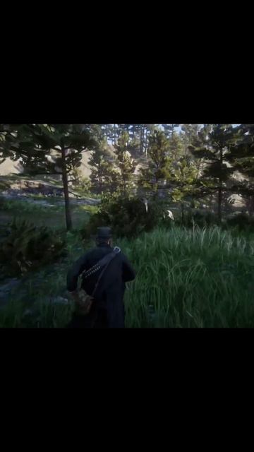 Шавуха отомстила ))) @Rip_van_winkle12 #rdr2 #баги #приколы #фейлы