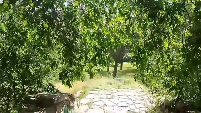 Алое Поле - ЗАКОУЛКИ