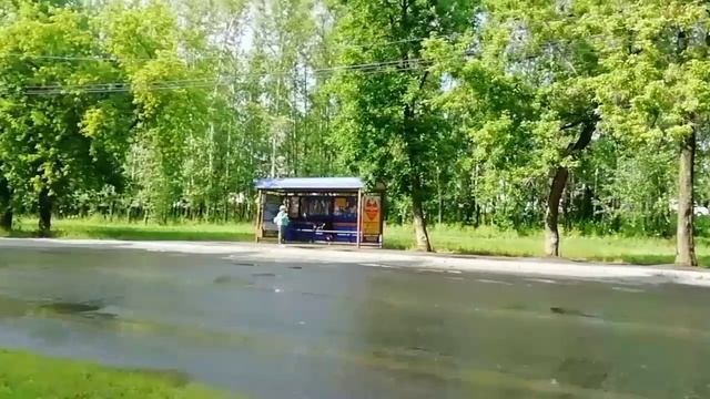 Ищем, где растут лимоны