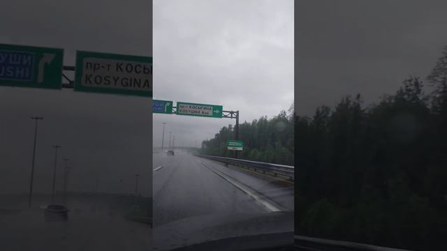 Дивиденды Лукойла и Татнефти
