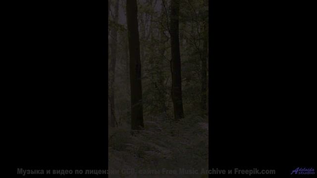 Этот лес СКРЫВАЕТ страшную тайну! - Is It Nice To Meet Her -- Omura -- The Whales Bay