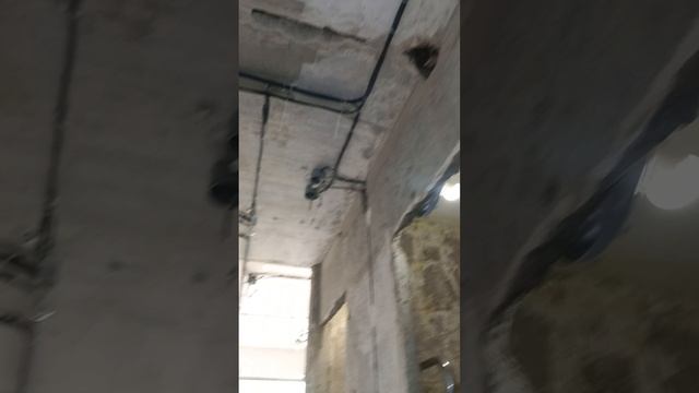 Работаем нейлером Тойя.