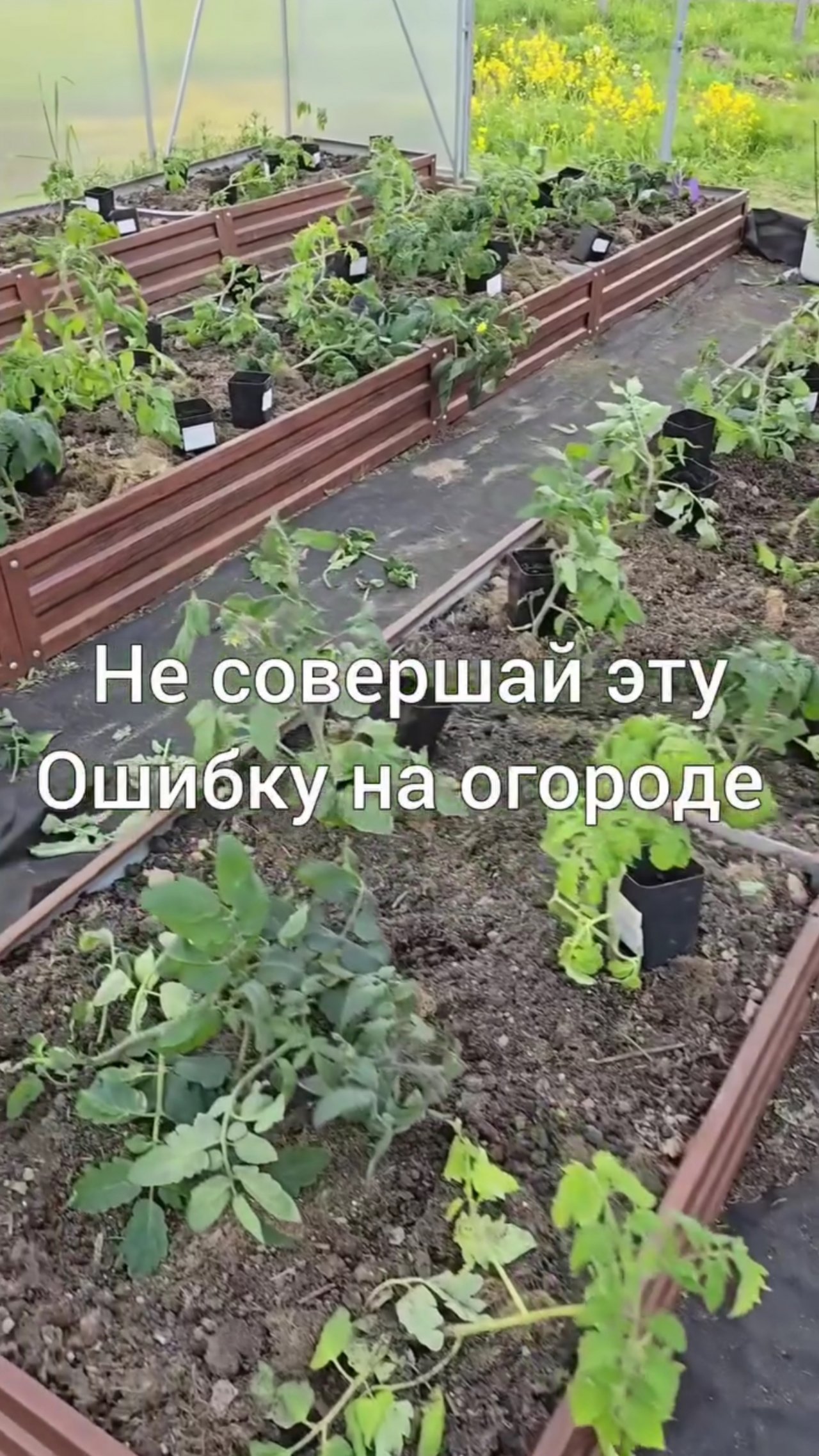 Помогаем почве и себе