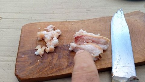 КОШКА БАСЯ ПРИШЛА ПЕРЕКУСИТЬ