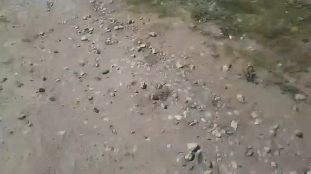 Прогулка до Волги 🚶⛱️🤿🎣.