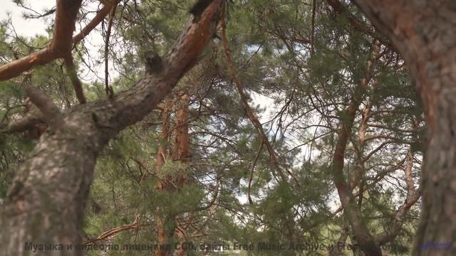 Этот контент создан для жителей будущего - но доступен вам сейчас! - Side 2 -- Colin Langenus -- Liv