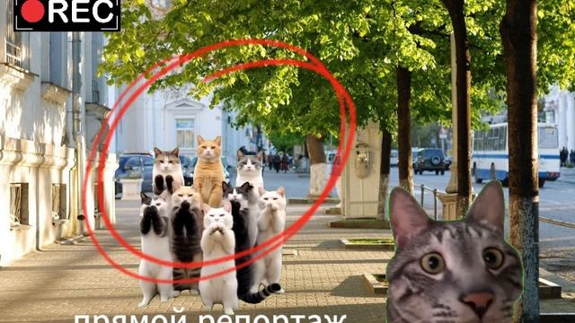Дарья