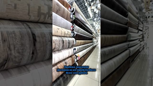 Поступление Линолеума новинок в продажу