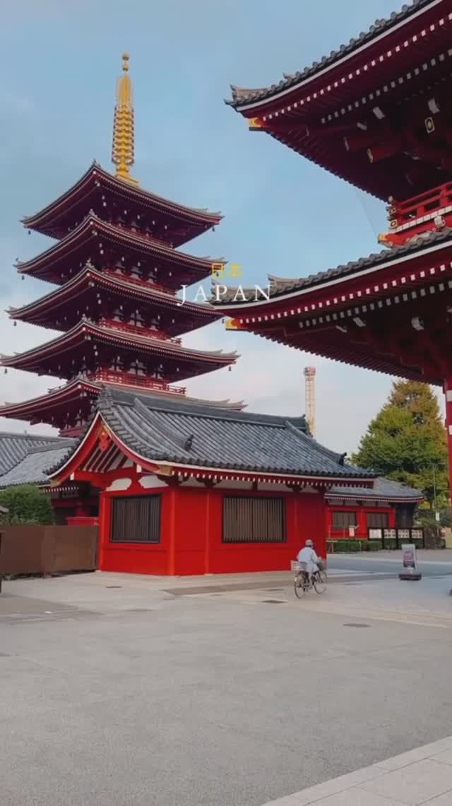 Подборка 311 #americamc #юмор #tiktok #reels #shorts #spring #2025 #compilation www.america-mc.com